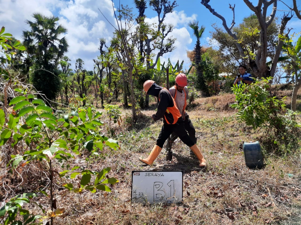 Soil Test Bali Uluwatu: Building Safe on Pecatu Limestone Terrain