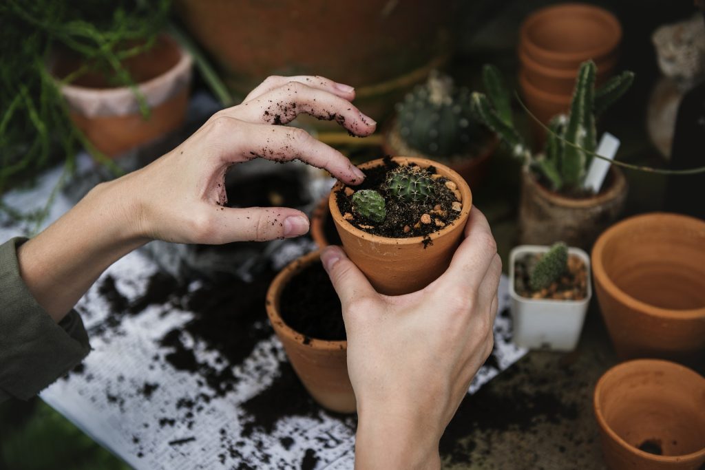 Soil Testing, Soil Strength, and Types of Soil