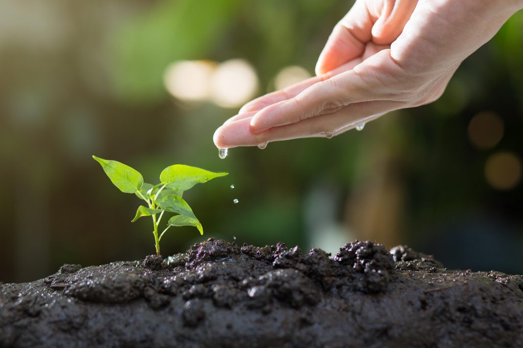 Ultimate Bali Soil Testing Guide for Coastal and Cliff Construction Projects